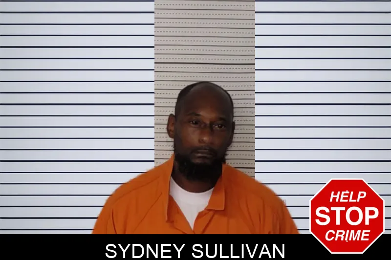 Sydney Sullivan mugshot – Rockdale County , Georgia Sydney Sullivan mugshot