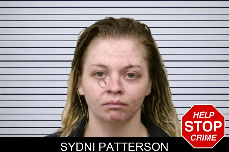Sydni Patterson mugshot – Bulloch County , Georgia Sydni Patterson mugshot