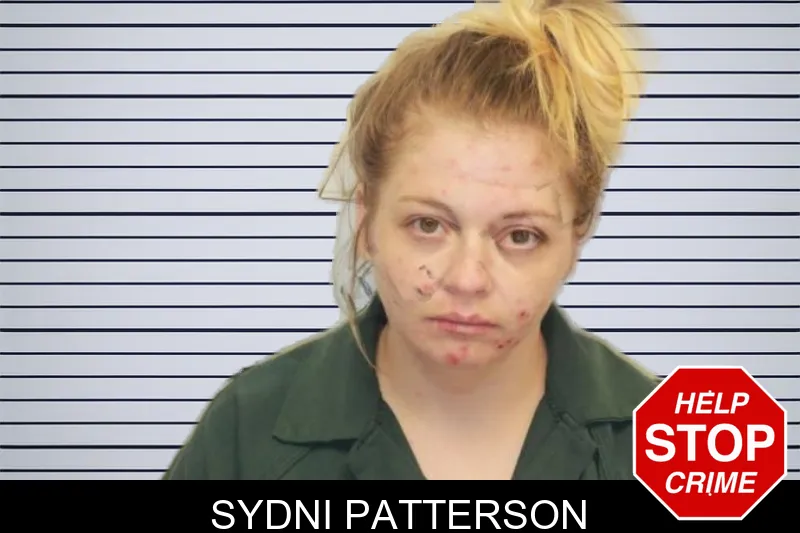 Sydni Patterson mugshot