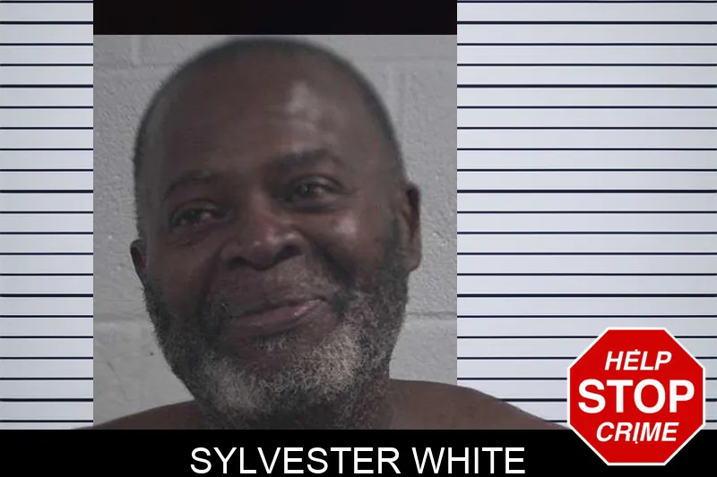 Sylvester White mugshot – McDuffie County , Georgia Sylvester White mugshot