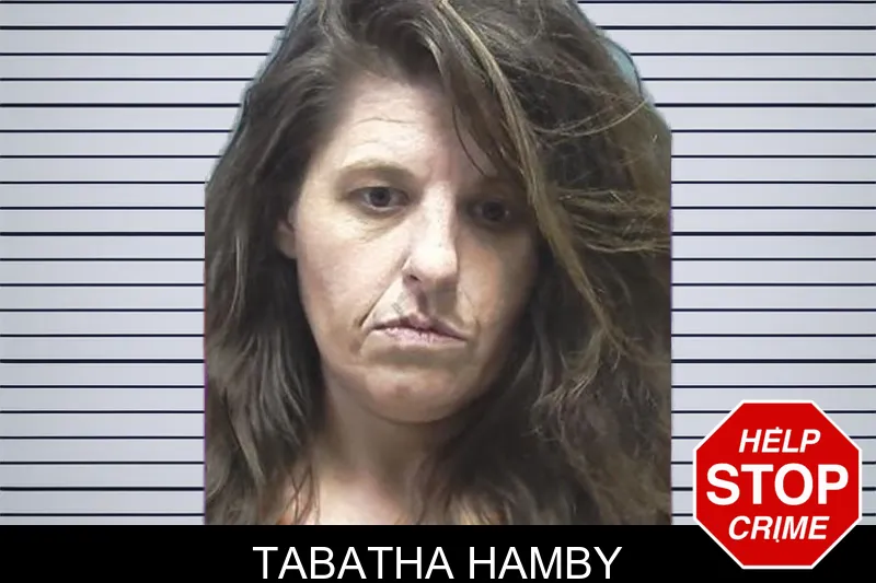 Tabatha Hamby mugshot – Cherokee County , Georgia Tabatha Hamby mugshot