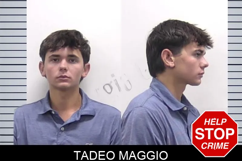 Tadeo Maggio mugshot