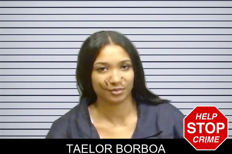 Taelor Borboa mugshot