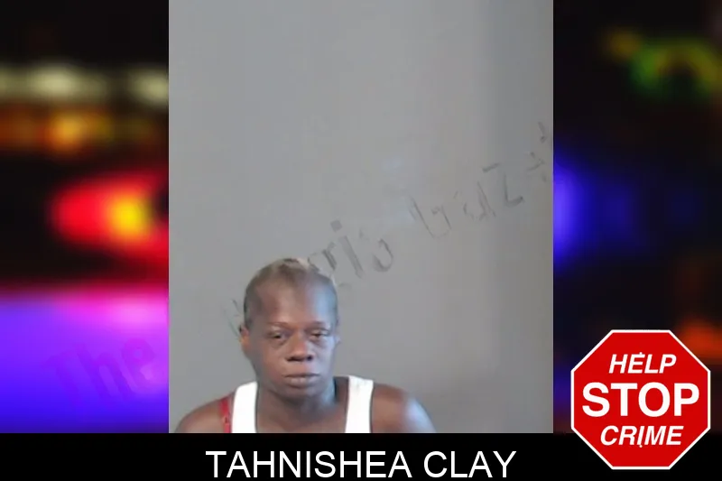 Tahnishea Clay mugshot – DeKalb County , Georgia Tahnishea Clay mugshot