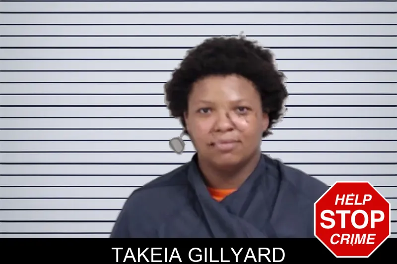 Takeia Gillyard mugshot – Lowndes County , Georgia Takeia Gillyard mugshot