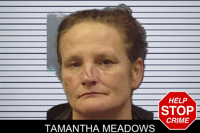 Tamantha Meadows mugshot
