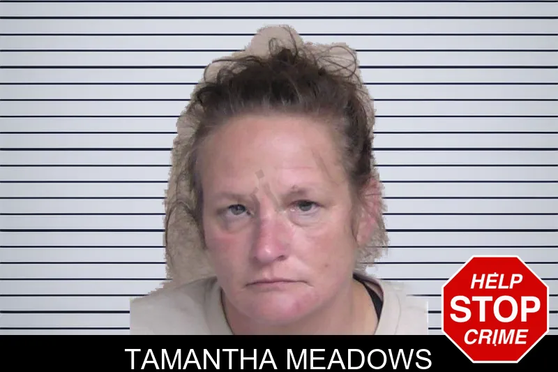Tamantha Meadows mugshot – Walker County , Georgia Tamantha Meadows mugshot