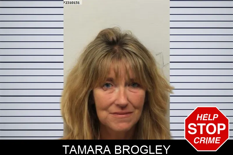Tamara Brogley mugshot – Chatham County , Georgia Tamara Brogley mugshot