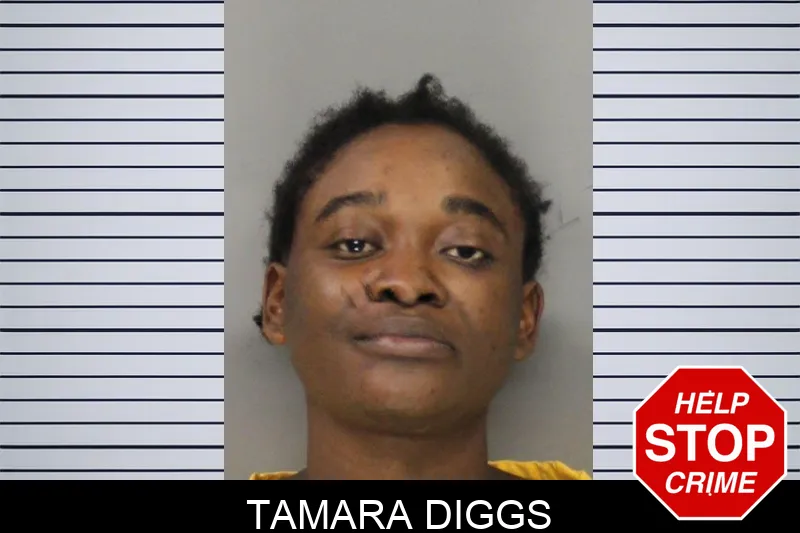 Tamara Diggs mugshot – Cobb County , Georgia Tamara Diggs mugshot