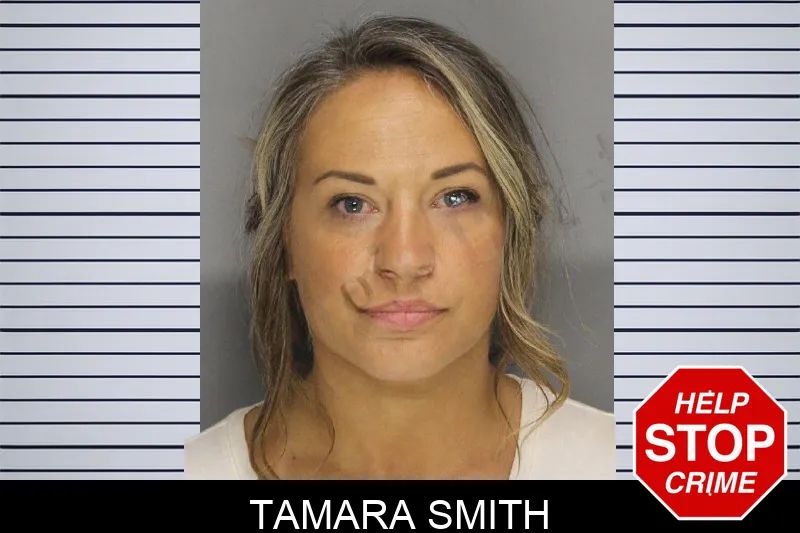 Tamara Smith mugshot – Cobb County , Georgia Tamara Smith mugshot