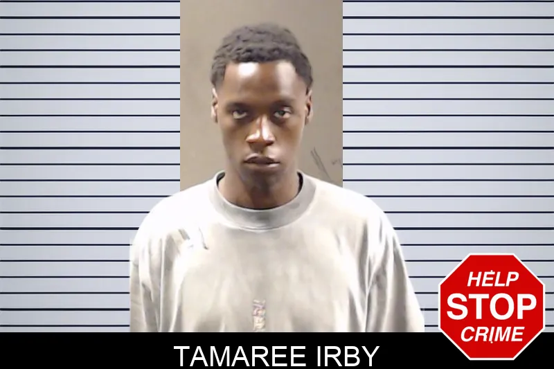Tamaree Irby mugshot – DeKalb County , Georgia Tamaree Irby mugshot