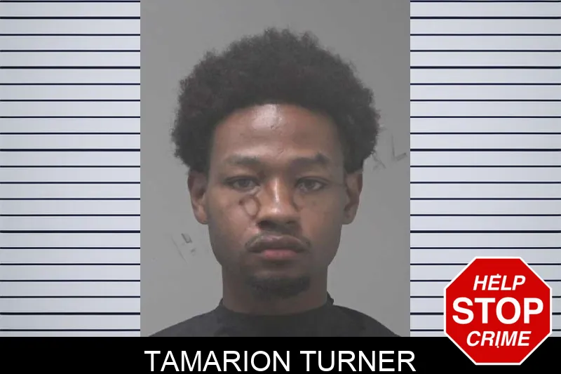 Tamarion Turner mugshot