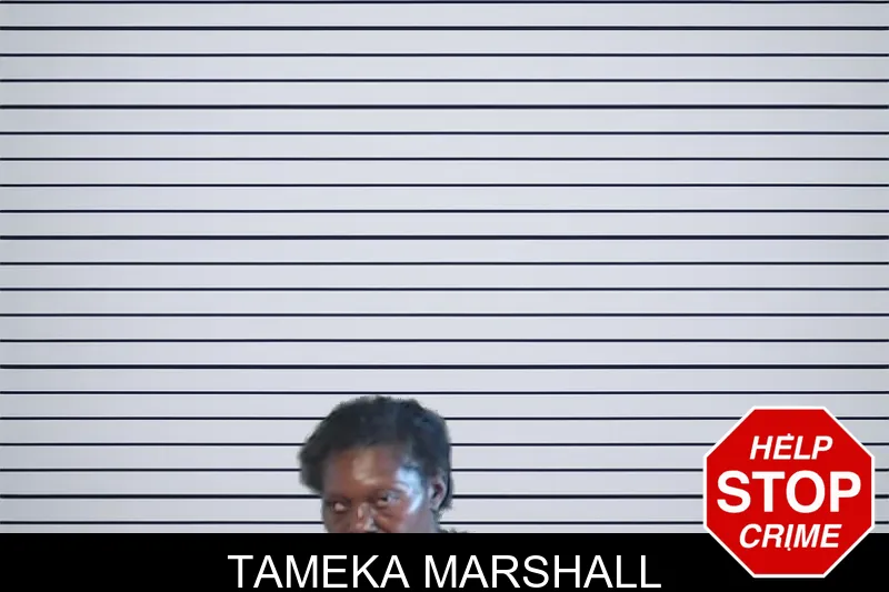 Tameka Marshall mugshot – DeKalb County , Georgia Tameka Marshall mugshot