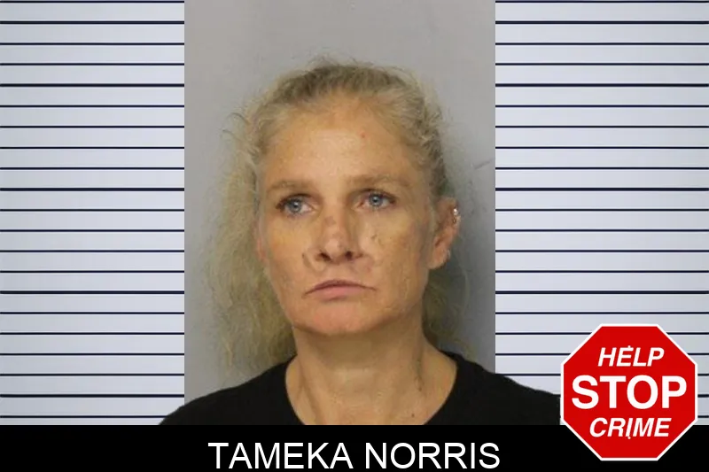 Tameka Norris mugshot