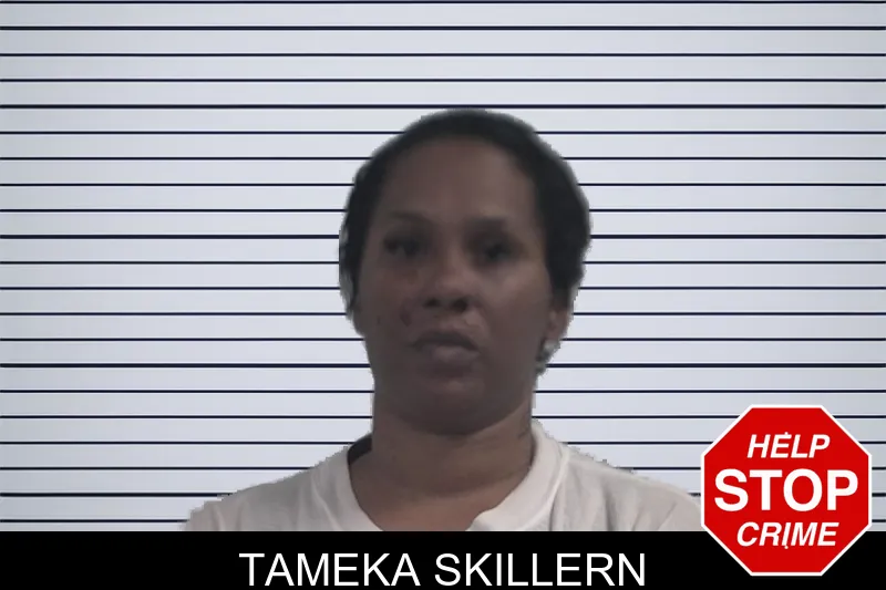 Tameka Skillern mugshot – McDuffie County , Georgia Tameka Skillern mugshot