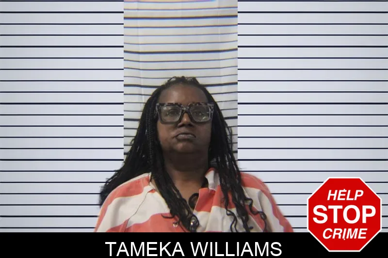 Tameka Williams mugshot