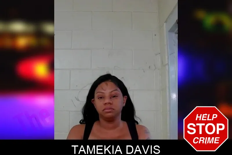 Tamekia Davis mugshot – Liberty County , Georgia Tamekia Davis mugshot