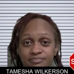 Tamesha Wilkerson mugshot – Wayne County , Georgia Tamesha Wilkerson mugshot
