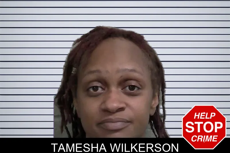 Tamesha Wilkerson mugshot