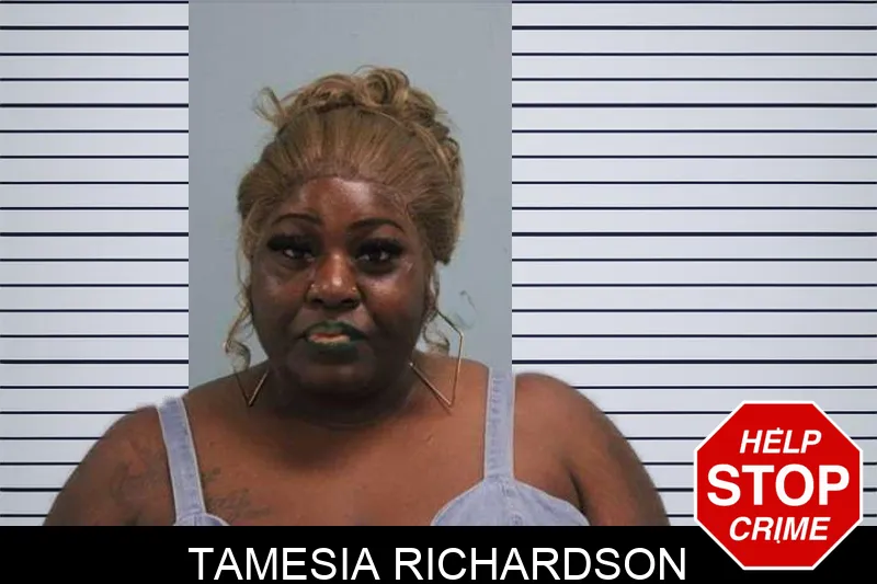 Tamesia Richardson mugshot – Grady County , Georgia Tamesia Richardson mugshot
