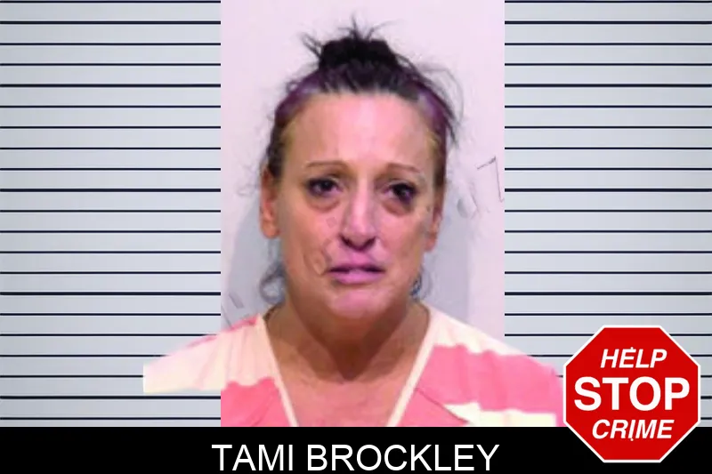 Tami Brockley mugshot – Bartow County , Georgia Tami Brockley mugshot