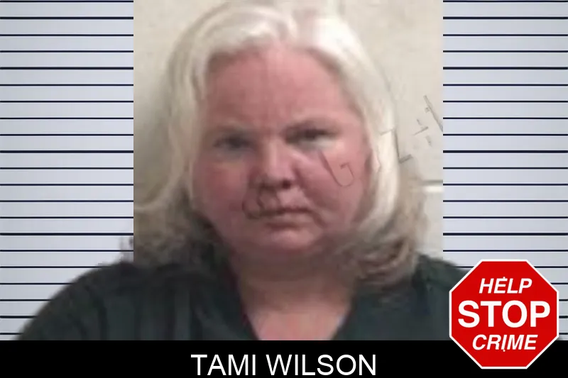 Tami Wilson mugshot