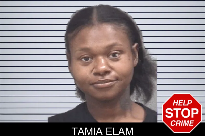 Tamia Elam mugshot – Columbia County , Georgia Tamia Elam mugshot