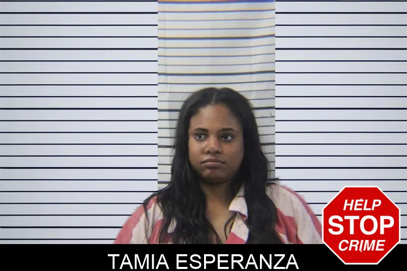 Tamia Esperanza mugshot – Stephens County , Georgia Tamia Esperanza mugshot