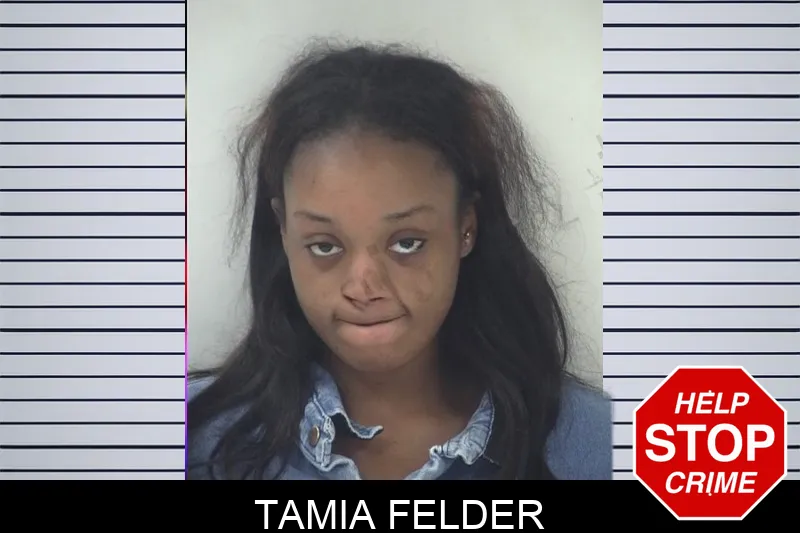 Tamia Felder mugshot – Fayette County , Georgia Tamia Felder mugshot