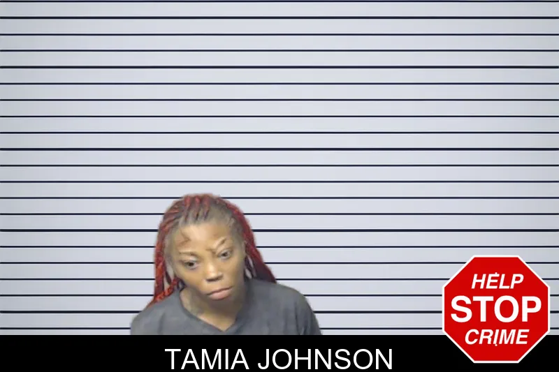 Tamia Johnson mugshot – DeKalb County , Georgia Tamia Johnson mugshot