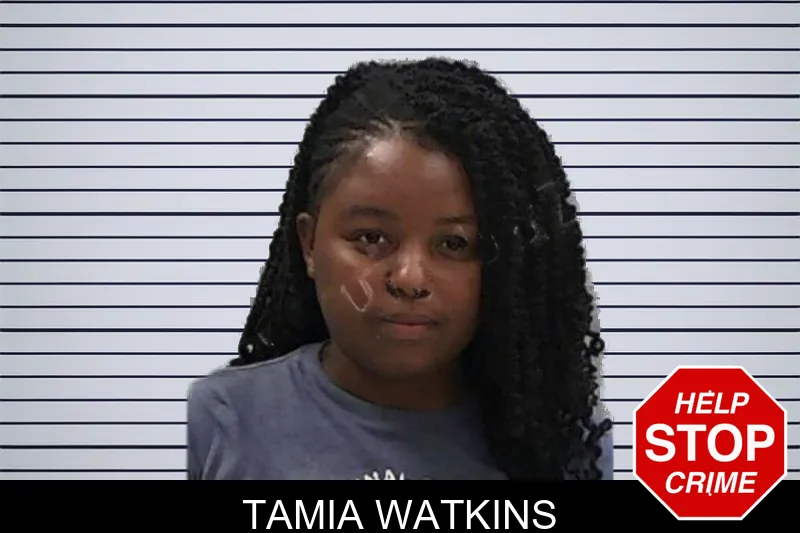 Tamia Watkins mugshot – Baldwin County , Georgia Tamia Watkins mugshot