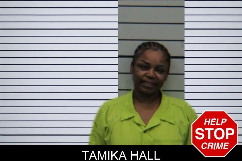 Tamika Hall mugshot – Turner County , Georgia Tamika Hall mugshot