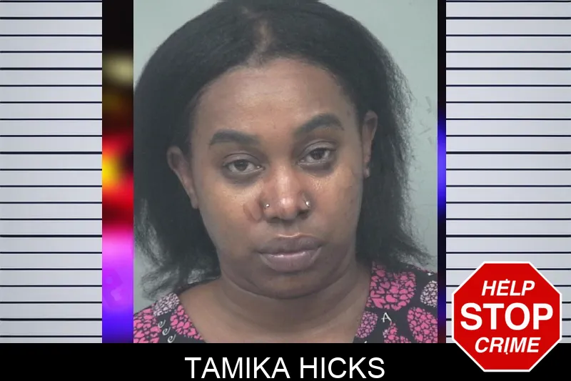 Tamika Hicks mugshot – Gwinnett County , Georgia Tamika Hicks mugshot