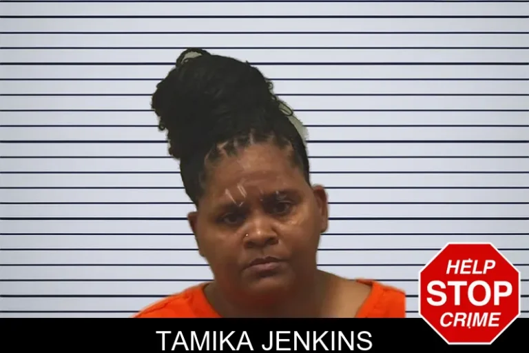 Tamika Jenkins mugshot – Bleckley County , Georgia Tamika Jenkins