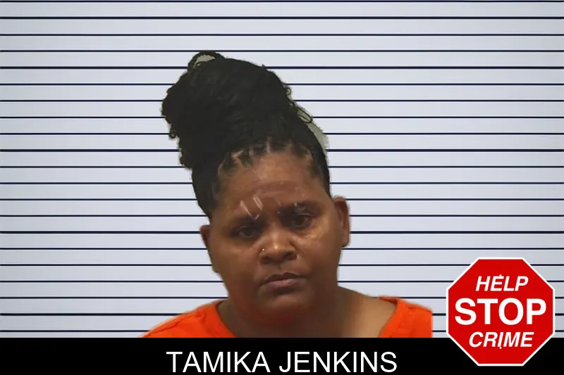 Tamika Jenkins mugshot – Bleckley County , Georgia Tamika Jenkins mugshot