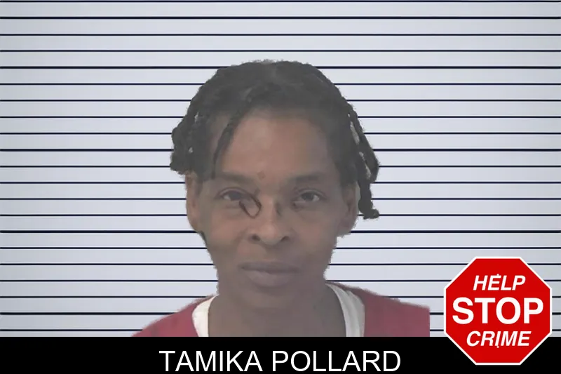 Tamika Pollard mugshot – Newton County , Georgia Tamika Pollard mugshot