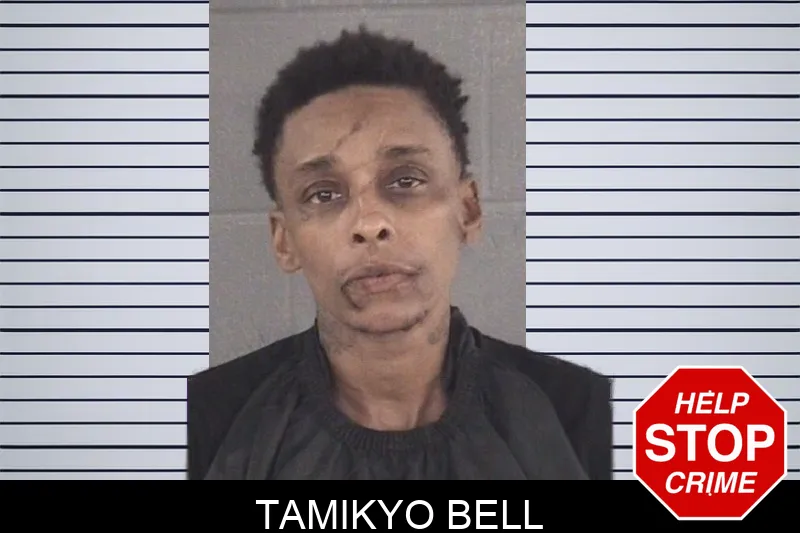 Tamikyo Bell mugshot – Spalding County , Georgia Tamikyo Bell mugshot