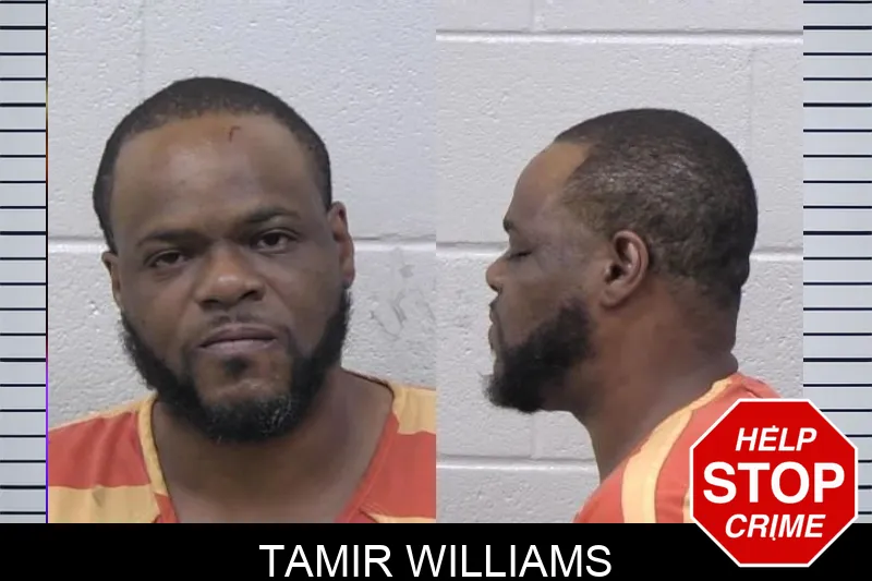 Tamir Williams mugshot – Paulding County , Georgia Tamir Williams mugshot