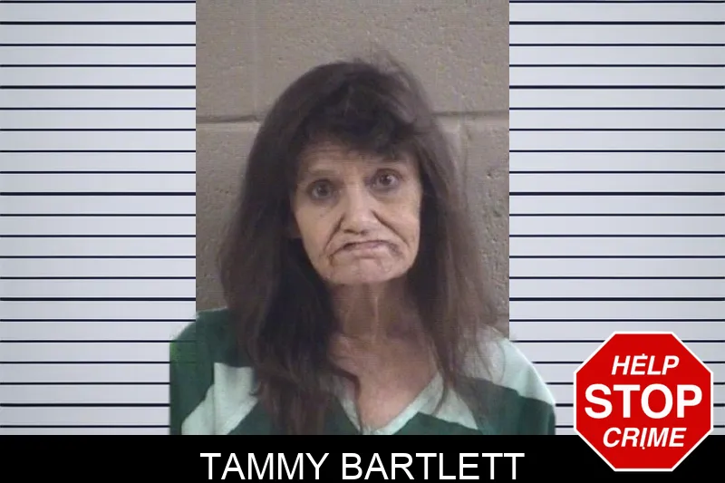 Tammy Bartlett mugshot