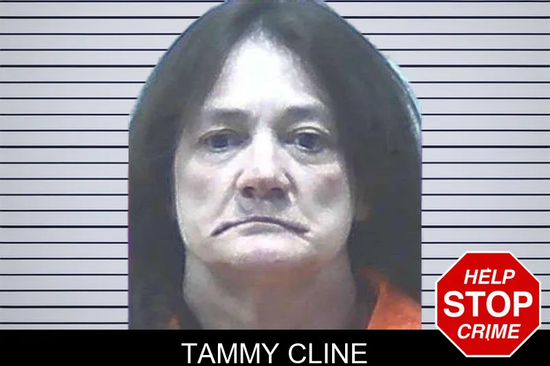 Tammy Cline mugshot – Jackson County , Georgia Tammy Cline mugshot