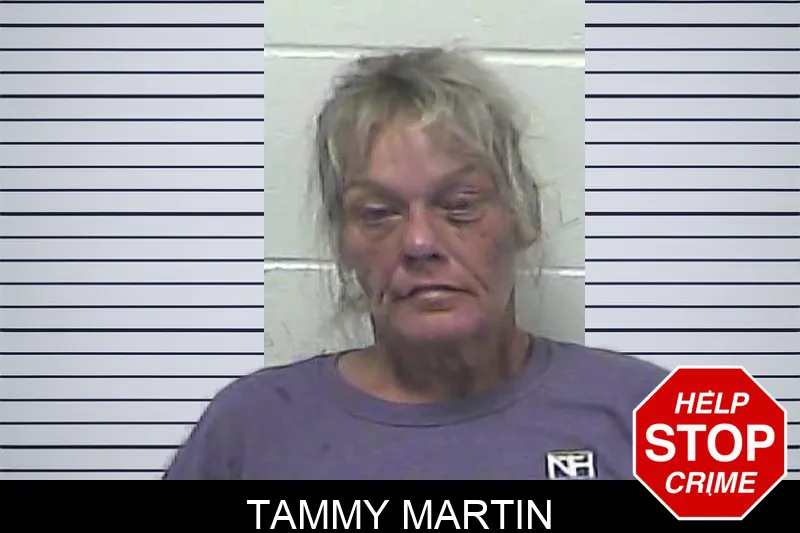 Tammy Martin mugshot – Dawson County , Georgia Tammy Martin mugshot