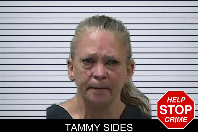 Tammy Sides mugshot – Gilmer County , Georgia Tammy Sides mugshot