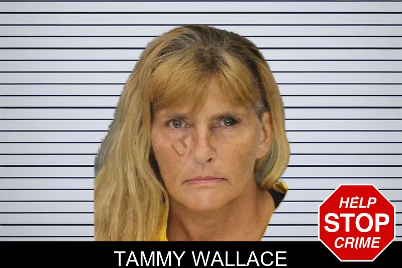 Tammy Wallace mugshot