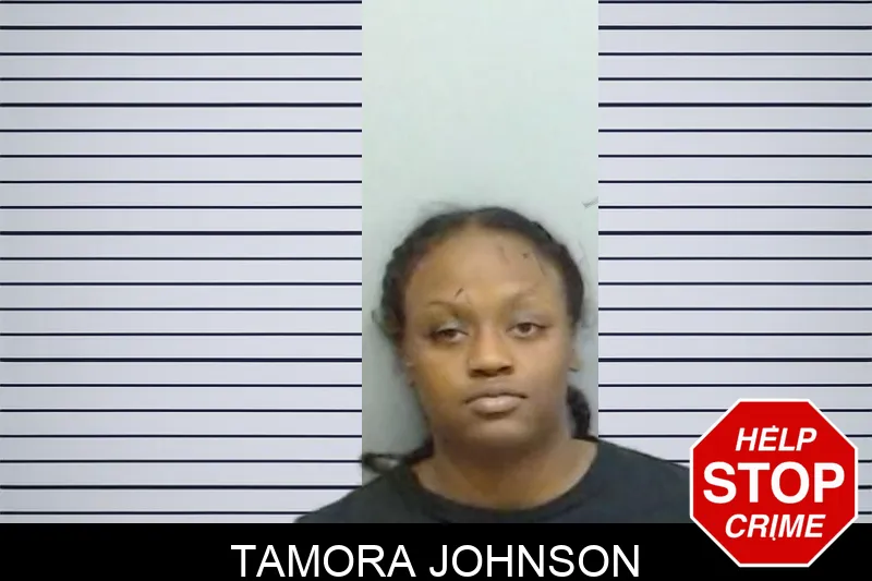 Tamora Johnson mugshot – Fulton County , Georgia Tamora Johnson mugshot