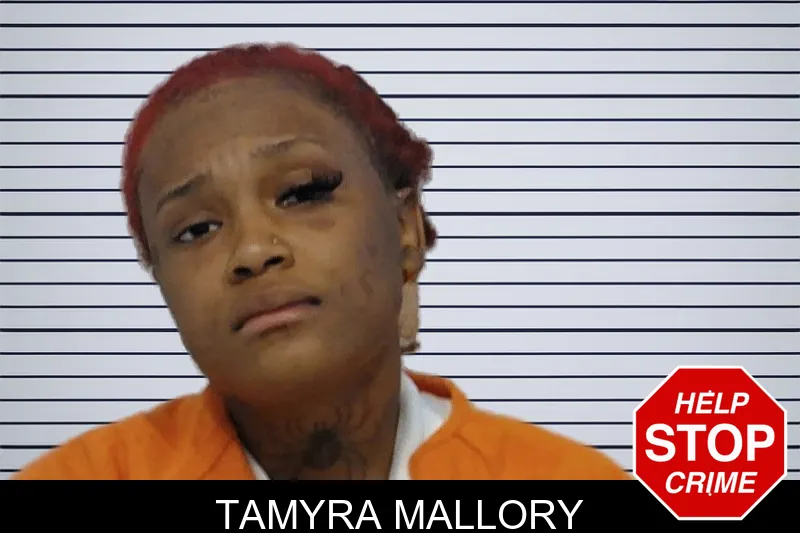 Tamyra Mallory mugshot – Bibb County , Georgia Tamyra Mallory mugshot