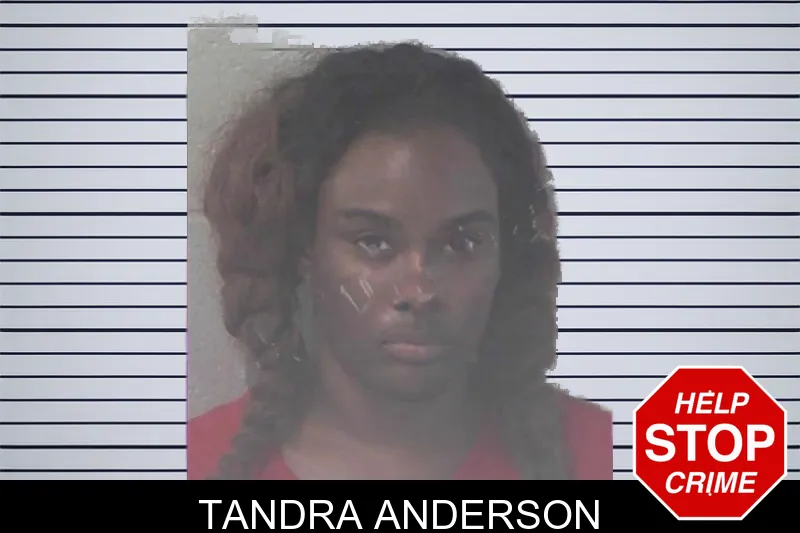 Tandra Anderson mugshot – Newton County , Georgia Tandra Anderson mugshot