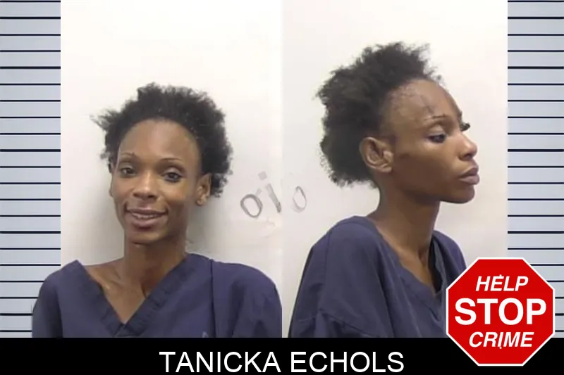 Tanicka Echols mugshot
