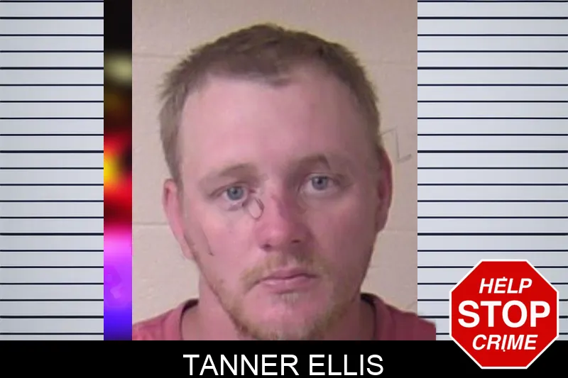 Tanner Ellis mugshot