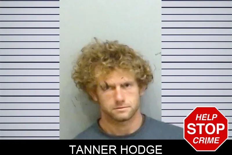 Tanner Hodge mugshot – Fulton County , Georgia Tanner Hodge mugshot