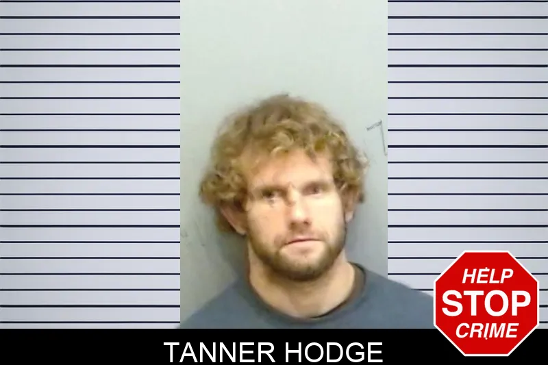Tanner Hodge mugshot